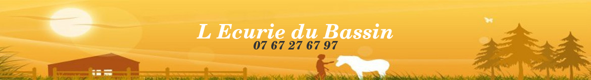 L Ecurie du Bassin